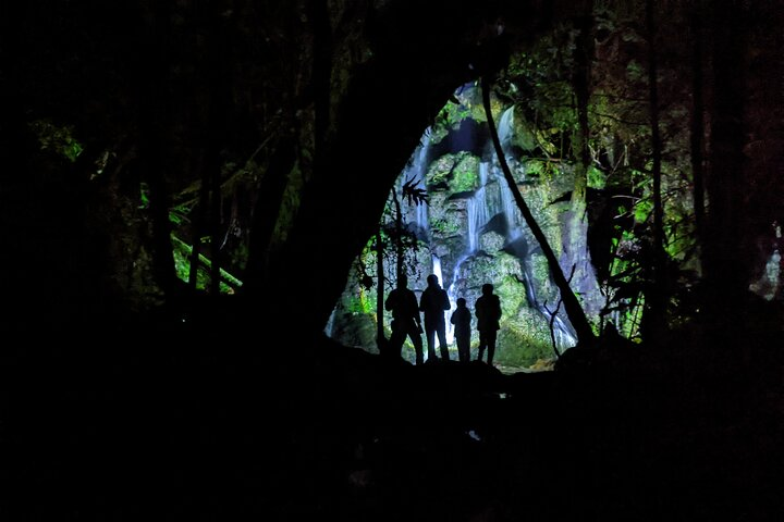 Experience the magic of the Nocturnal Adventure Glow-worm tour in Rotorua where shimmering glow-worms illuminate native forests creating a mesmerizing backdrop for nighttime exploration and stargazing.